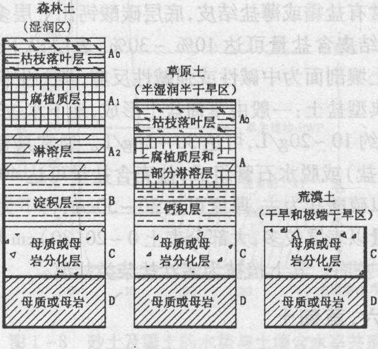 風(fēng)沙土